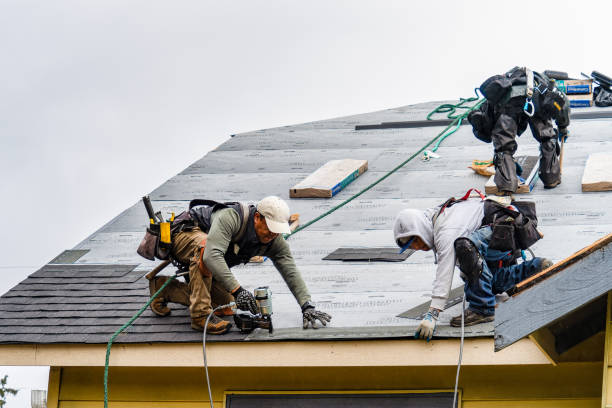 Professional Roofing technician working in Harwood, MD